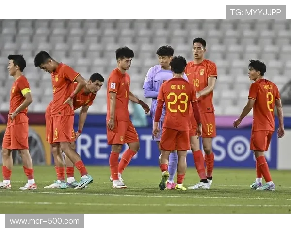 中国足球基础设施跃进:专业球场建设潮的利与弊 中国足球基础设施跃进:专业球场建设潮的利与弊